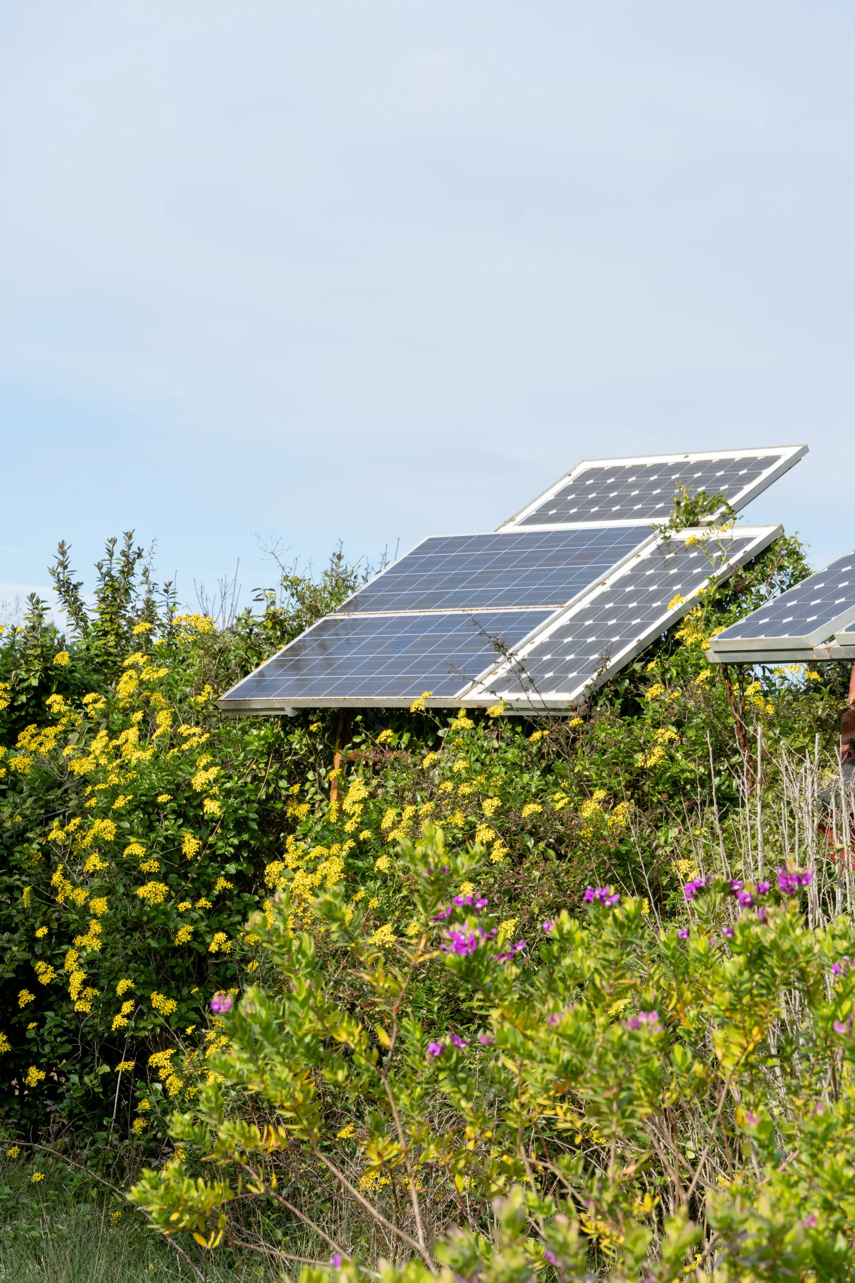 Mariano Bueno Mariano-bueno-575